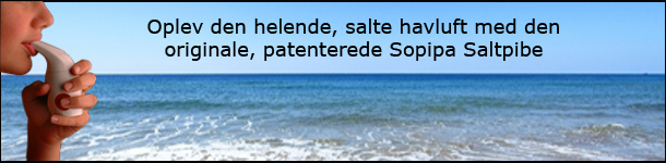 Saltpiben med hav og tekst