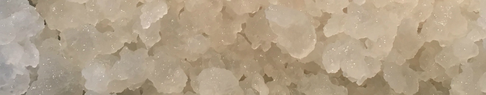 Vand Kefir Krystaller 2050x400 Vand Kefir - Livsbobler.dk